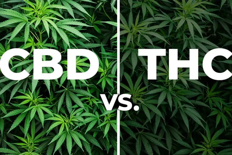 CBD And THC – What’s The Difference?