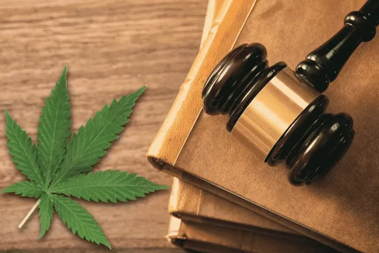 What is the Law on CBD?