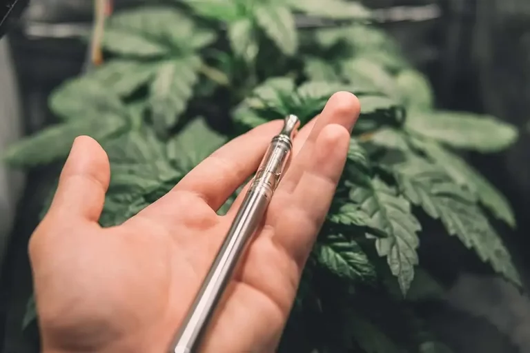 CBD Vape Cartridges vs. Disposable Pens