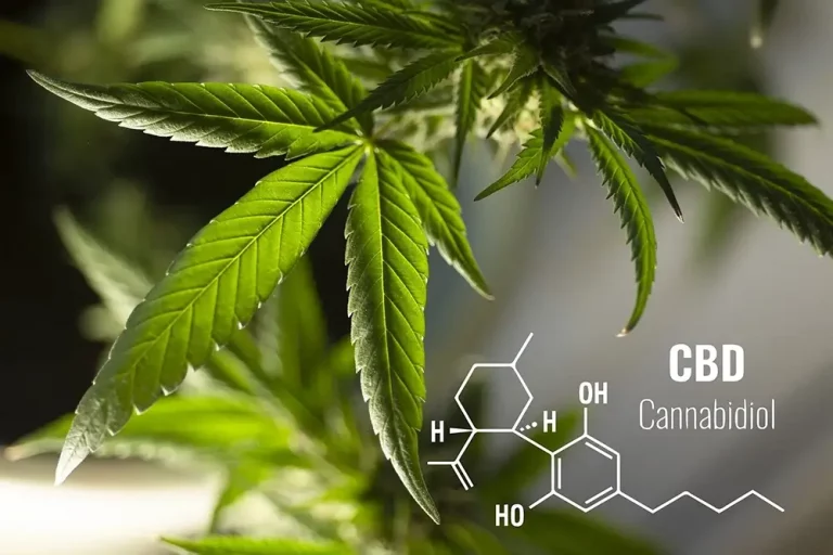 CBD Vaping for Wellness: Harnessing Cannabidiol for Stress Relief